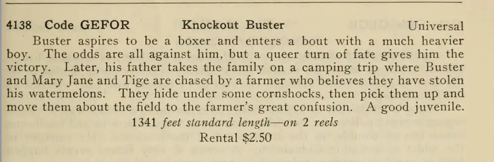 Knockout Buster photo