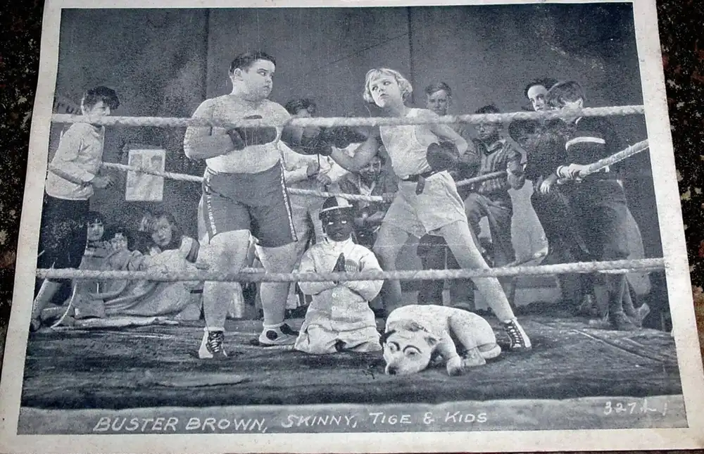 Knockout Buster photo