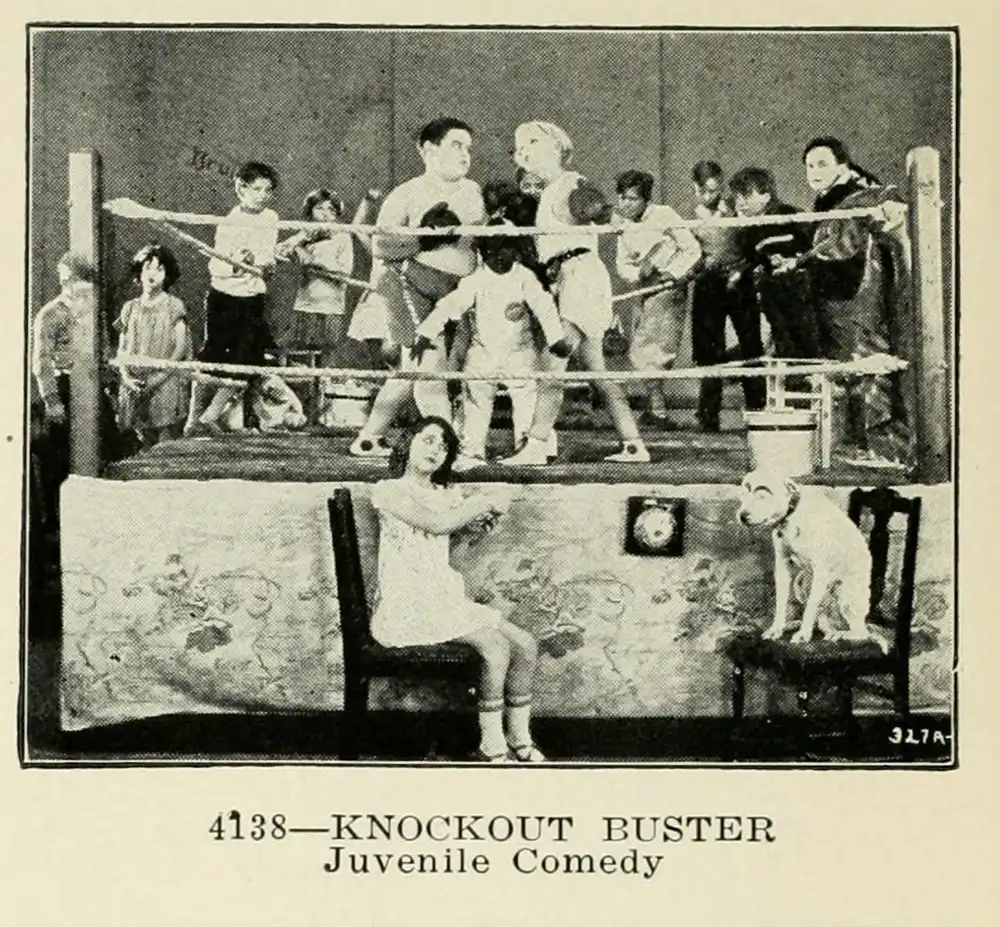 Knockout Buster photo