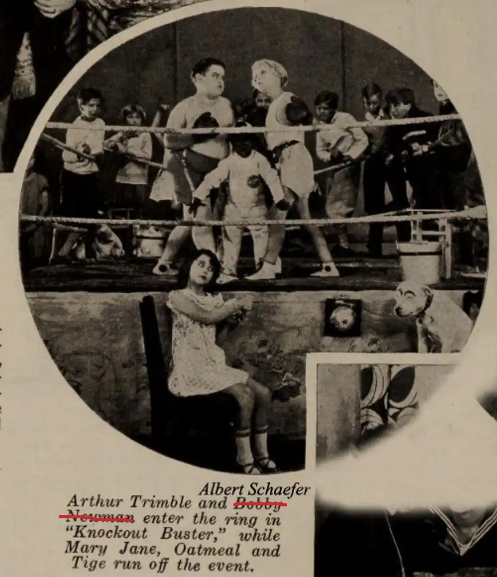 Knockout Buster photo