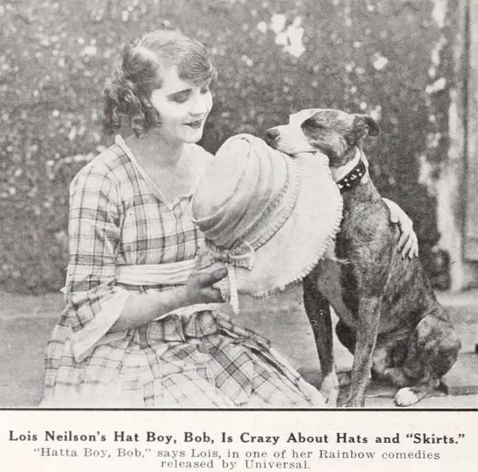 Brownie's Doggone Tricks scene
