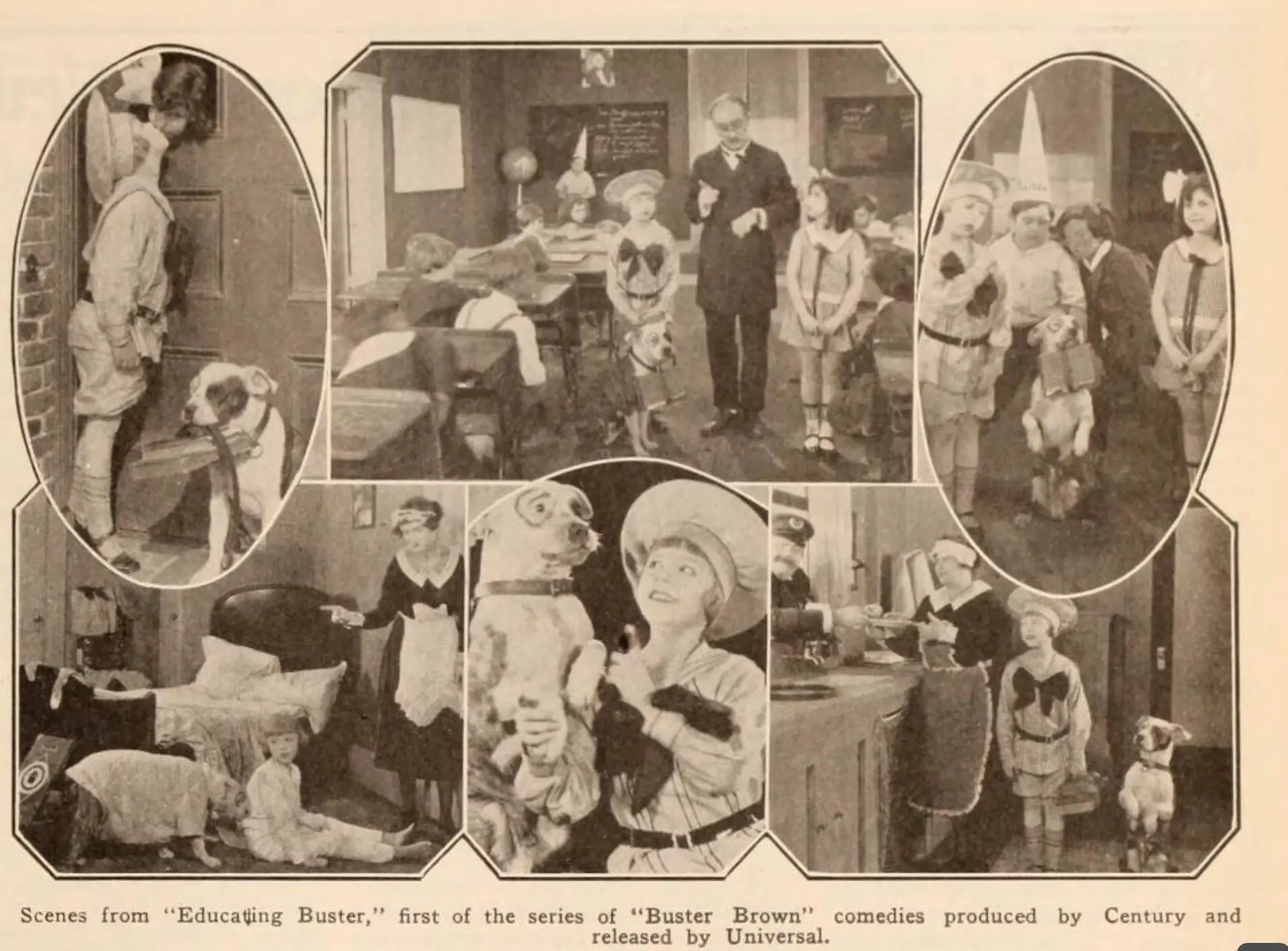 Educating Buster scene