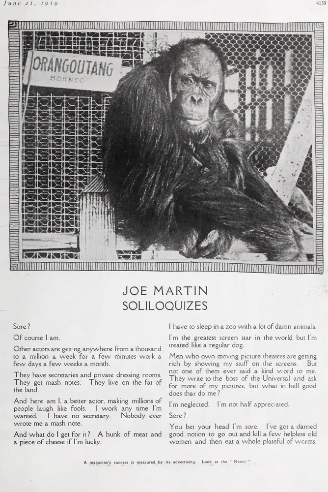 Looney Lions and Monkey Business