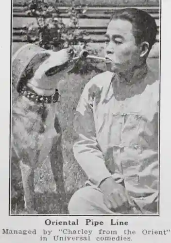 Brownie, the Peacemaker photo
