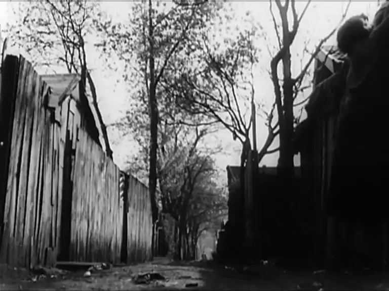 La zone scene