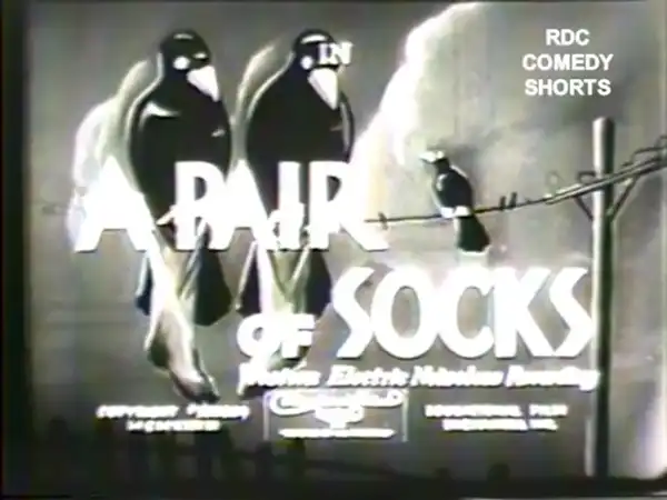 A Pair of Socks