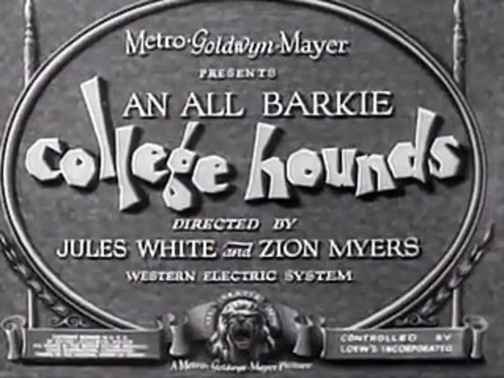 College Hounds scene