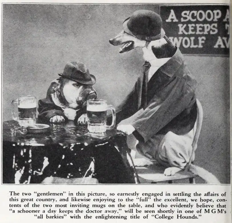 College Hounds scene