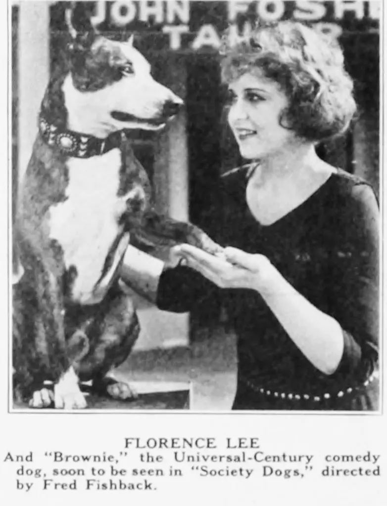 Society Dogs scene
