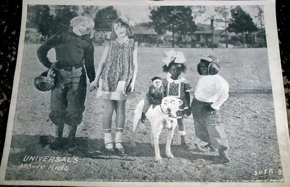 Halfback Buster