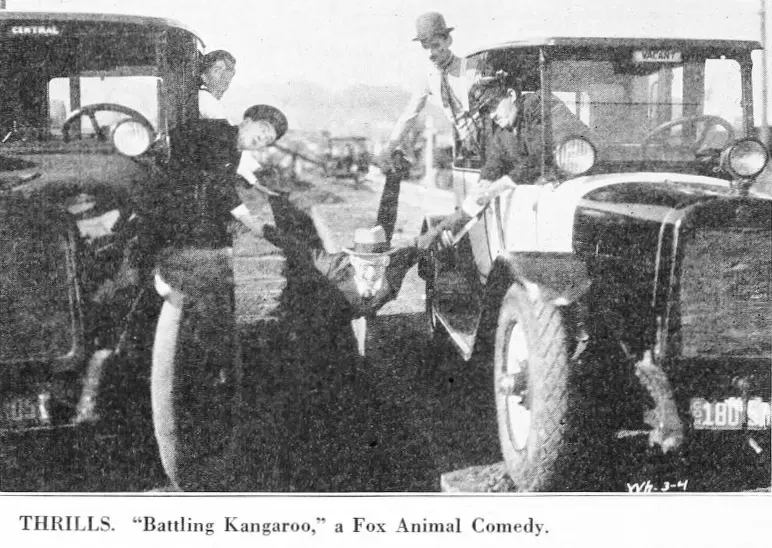 The Battling Kangaroo scene