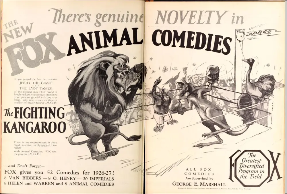 The Battling Kangaroo scene