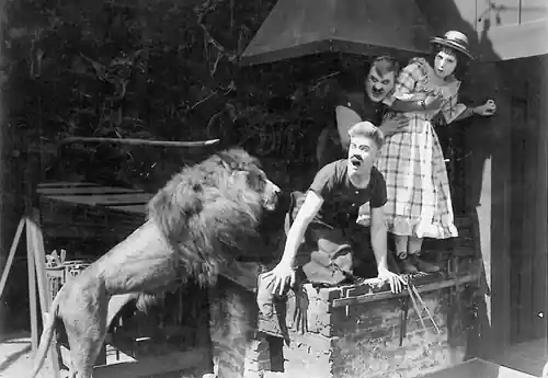 Loose Lions and Fast Lovers scene