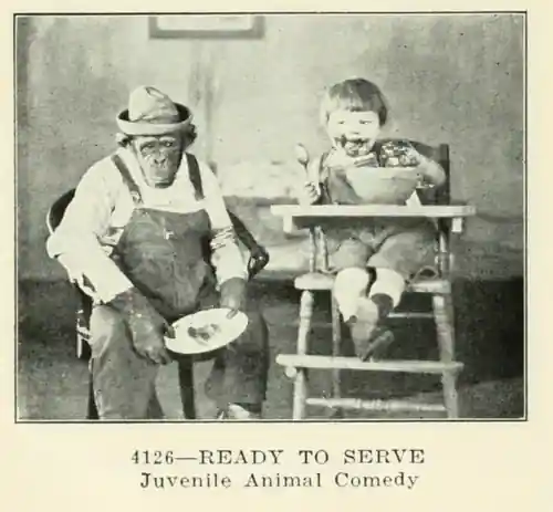 Ready to Serve scene