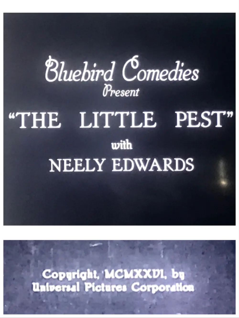 The Little Pest scene