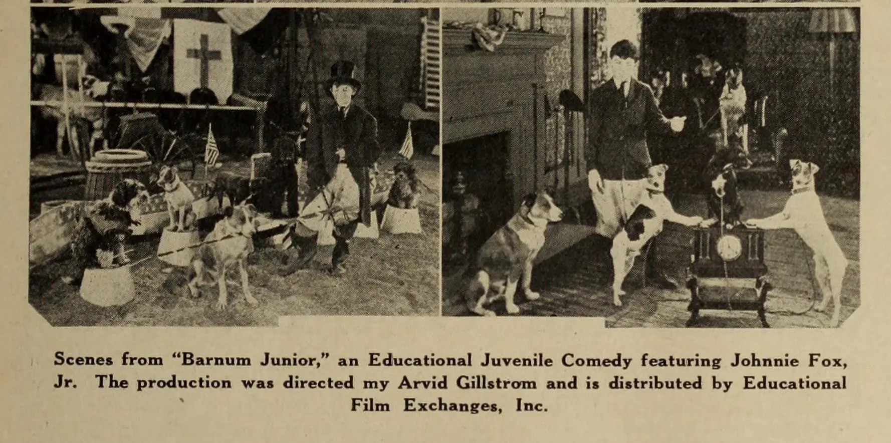 Barnum Junior photo