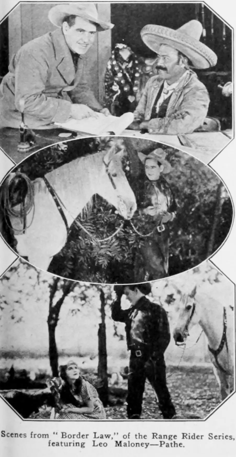 Border Law photo