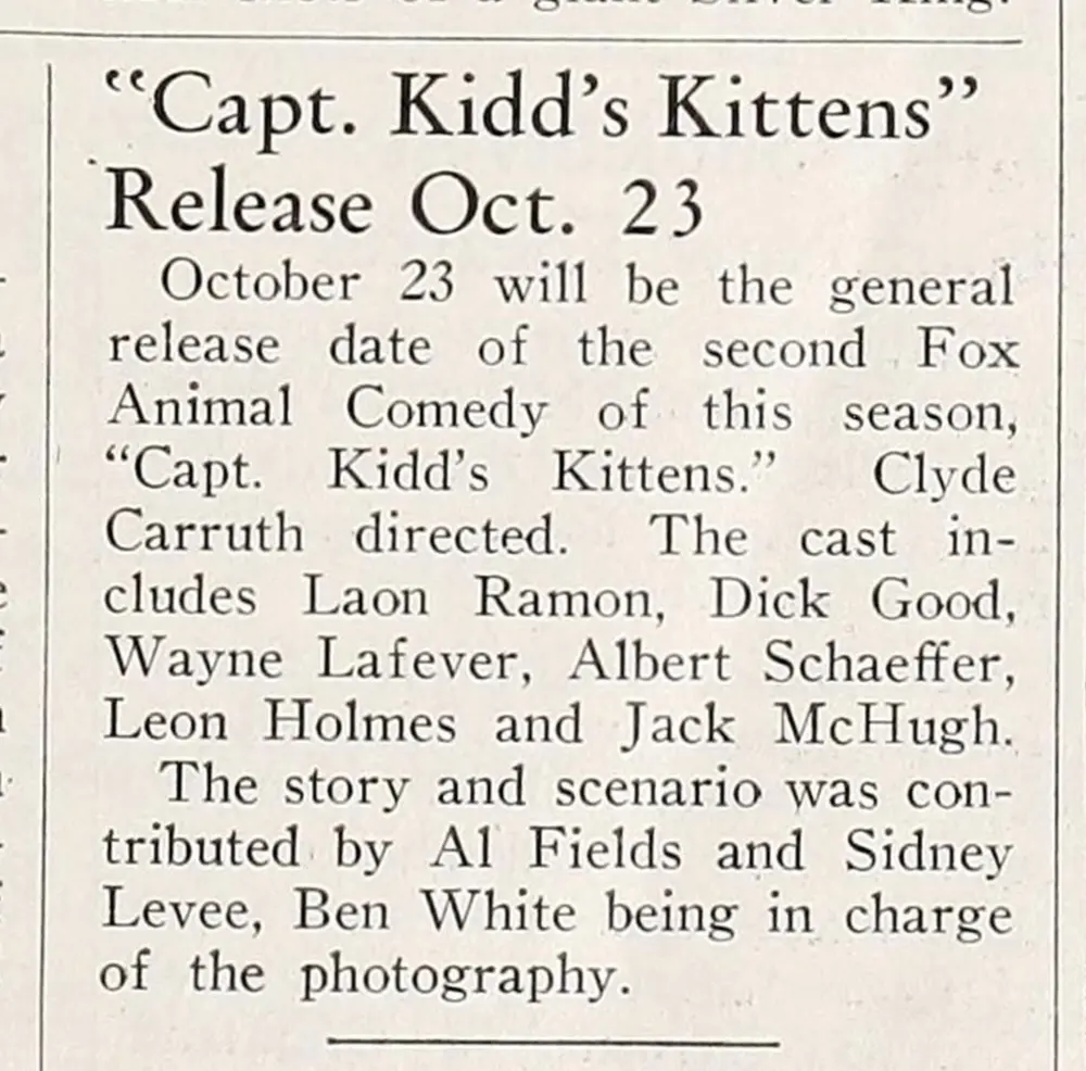Captain Kidd's Kittens photo