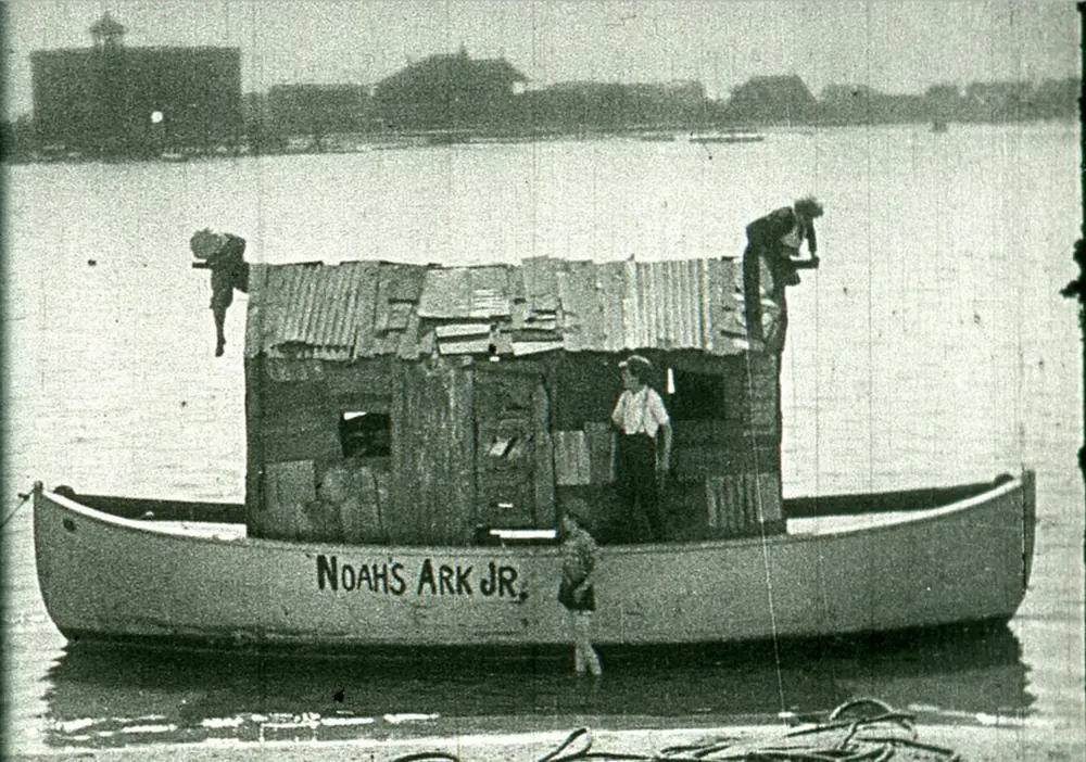 Captain Kidd's Kittens