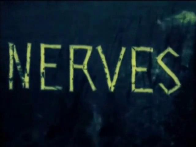 Nerven scene