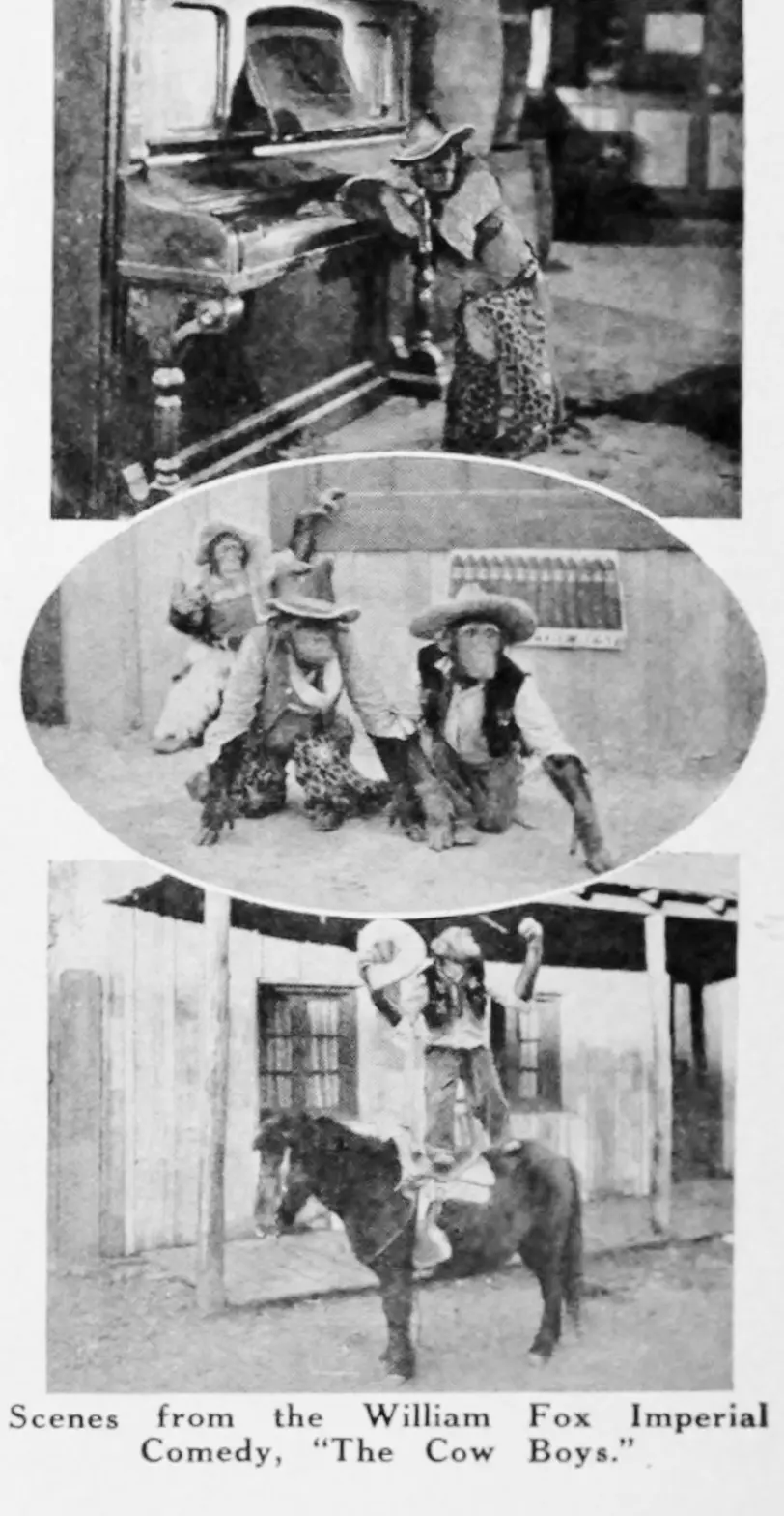 The Cow Boys scene 1