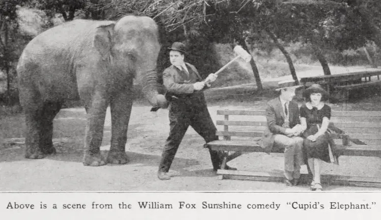 Cupid's Elephant scene