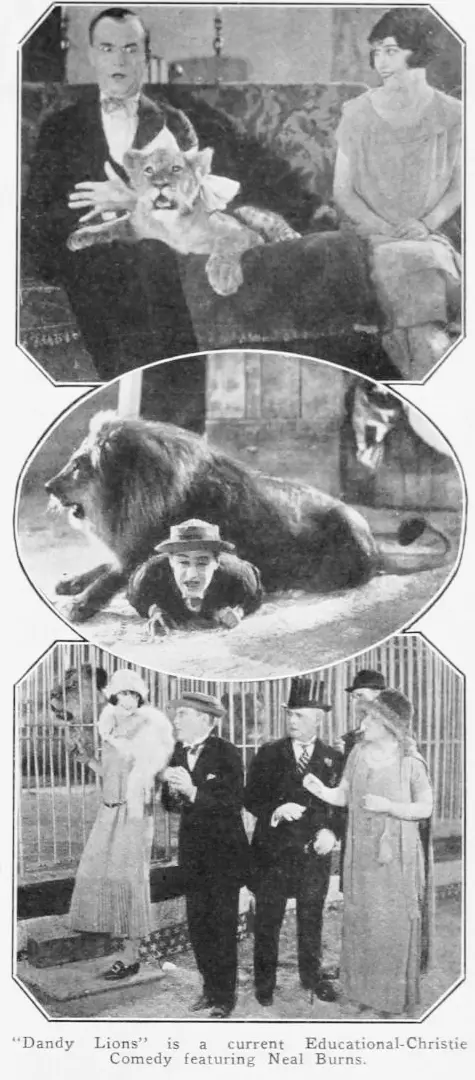 Dandy Lions scene 1