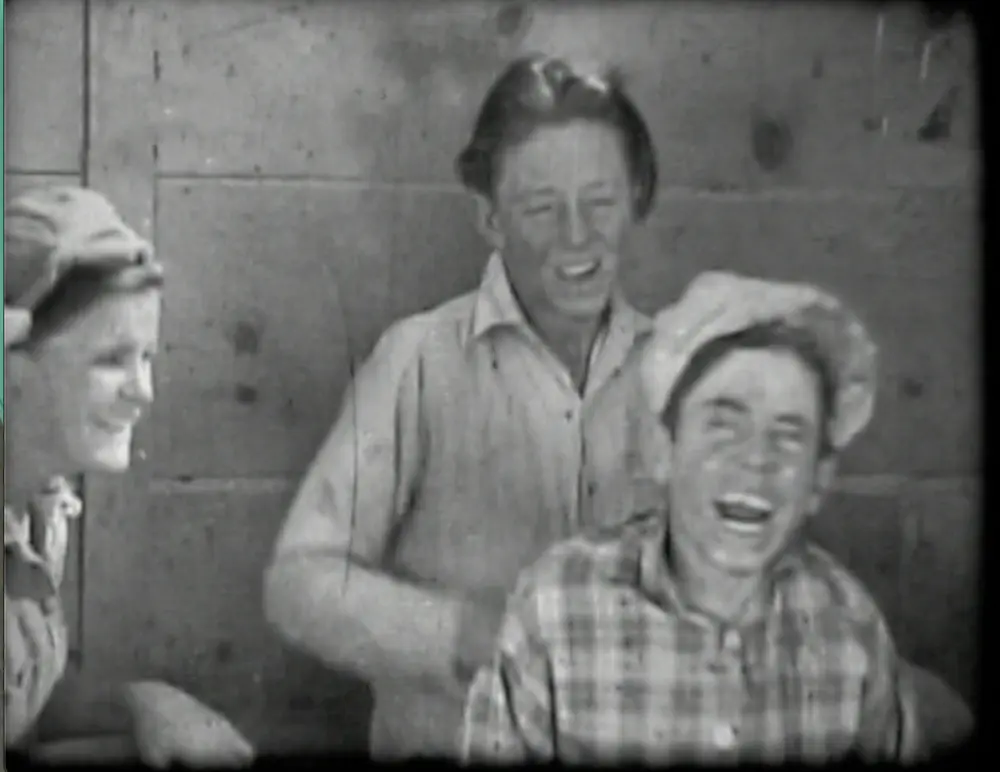 Wild Puppies photo