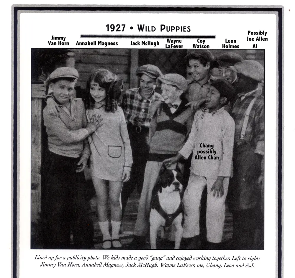 Wild Puppies photo