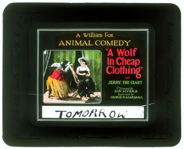 A Wolf in Cheap Clothing