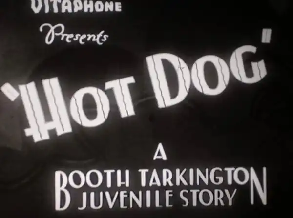Hot Dog photo