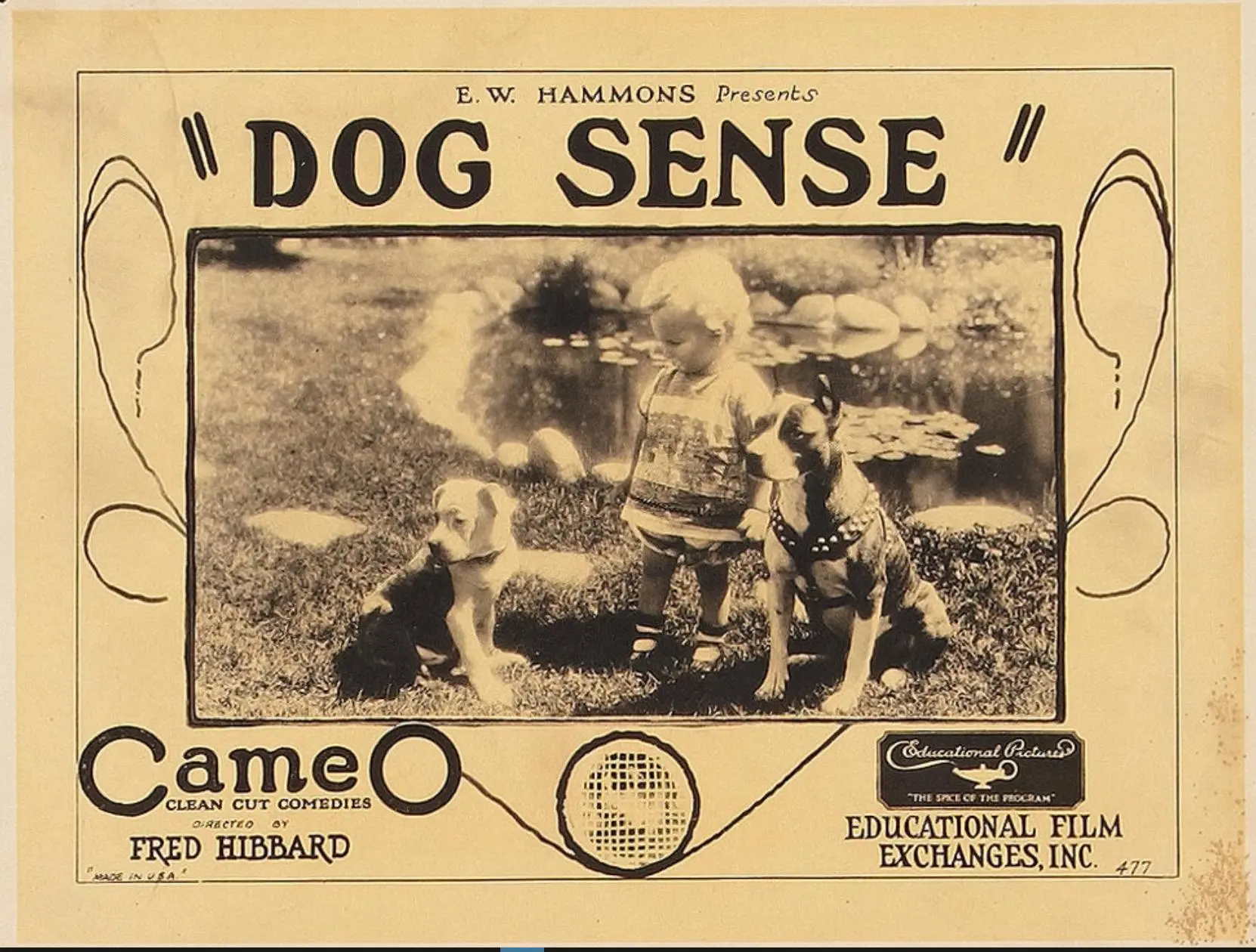 Dog Sense photo