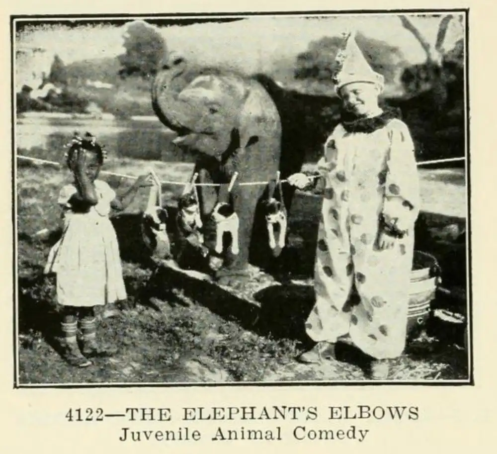 The Elephant's Elbows scene