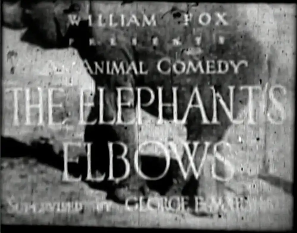 The Elephant's Elbows scene