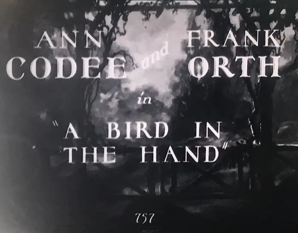 A Bird in the Hand