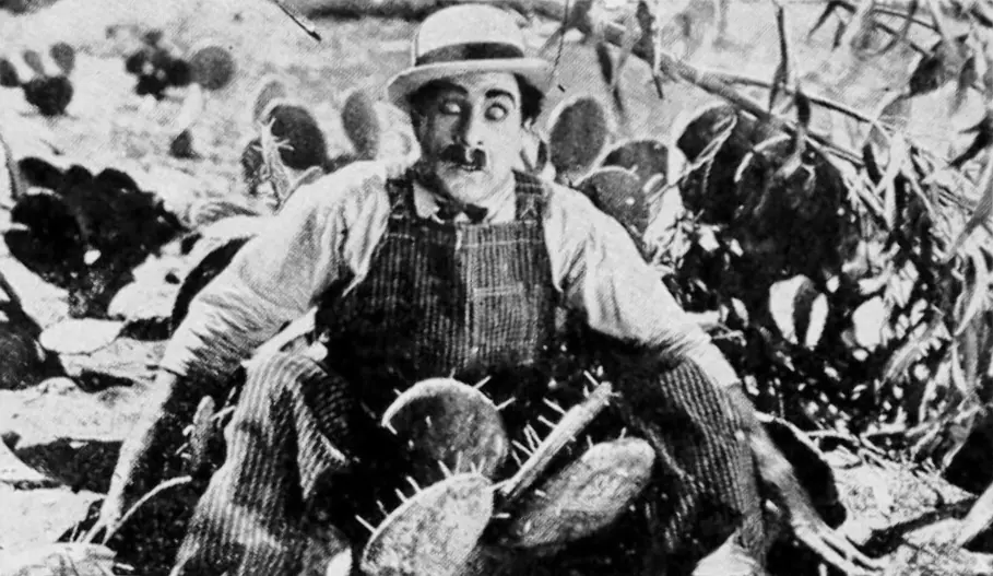 The Hayseed scene