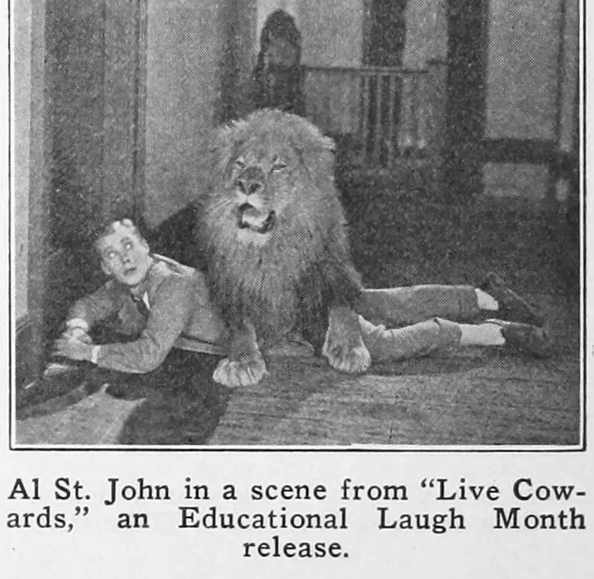 Live Cowards