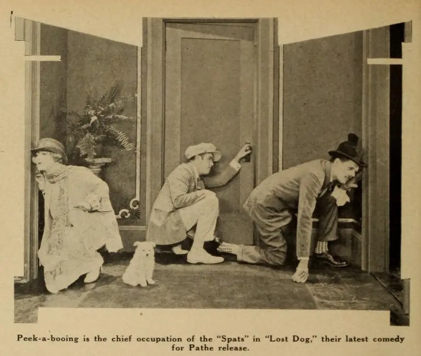 Lost Dog scene 1