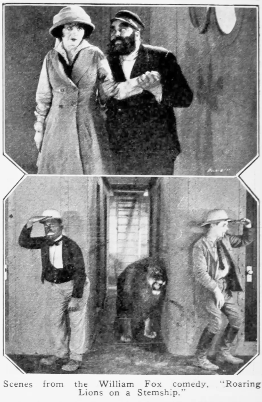Roaring Lions on a Steamship photo