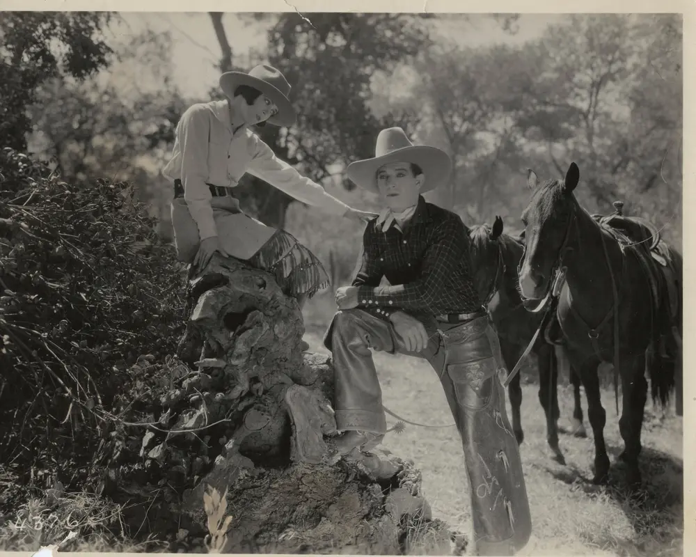 Rustler by Proxy scene