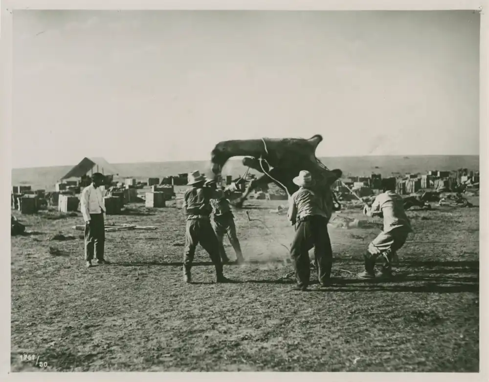 Mit Sven Hedin durch Asiens Wüsten photo