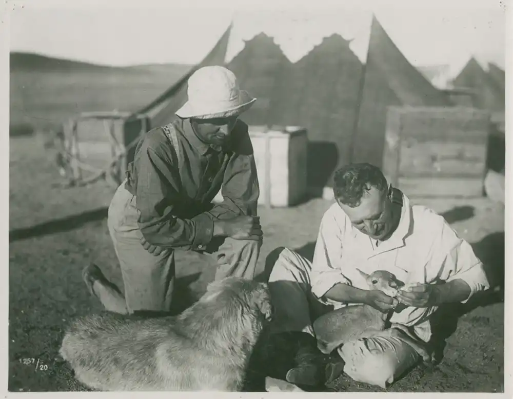 Mit Sven Hedin durch Asiens Wüsten photo