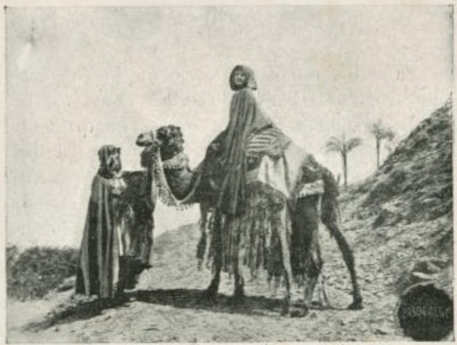 Salambo, a $100,000 Spectacle scene 1