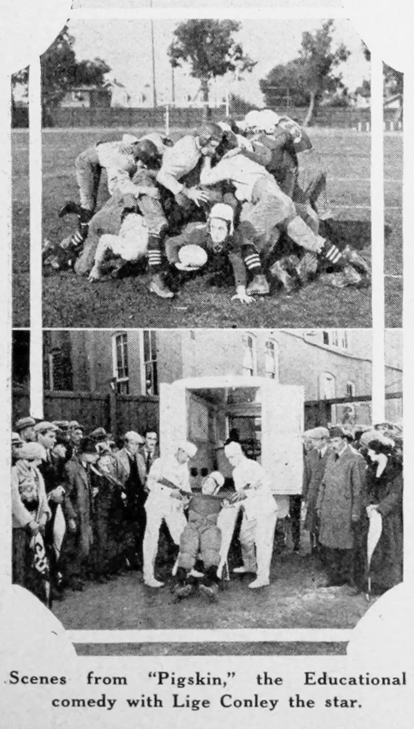 Pigskin scene