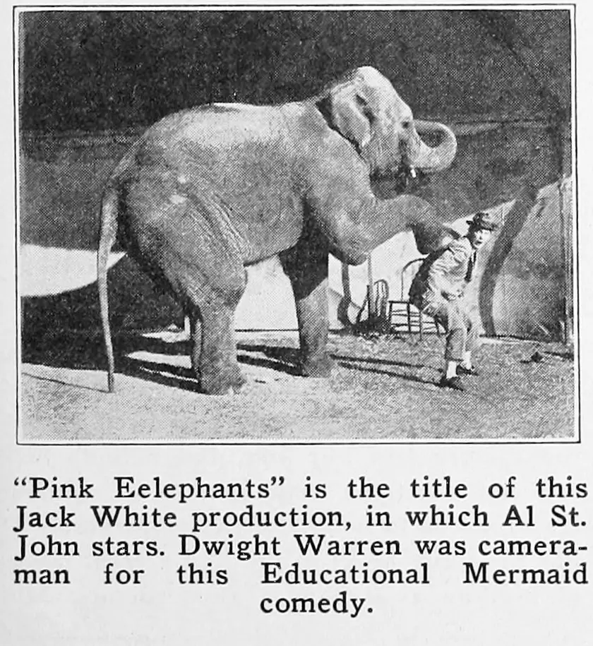 Pink Elephants