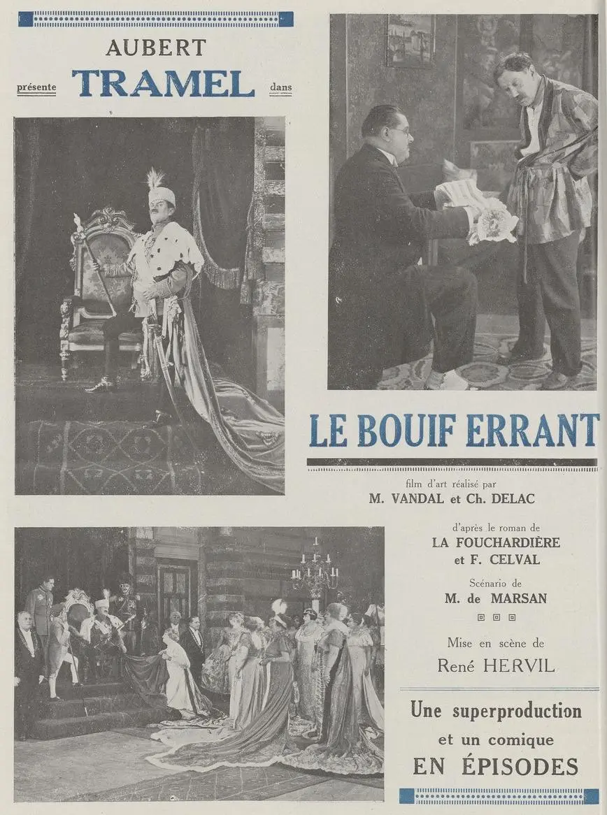 Le Bouif errant photo