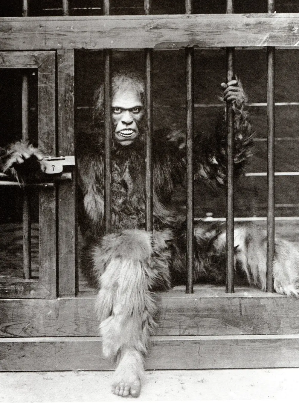 Gorira scene