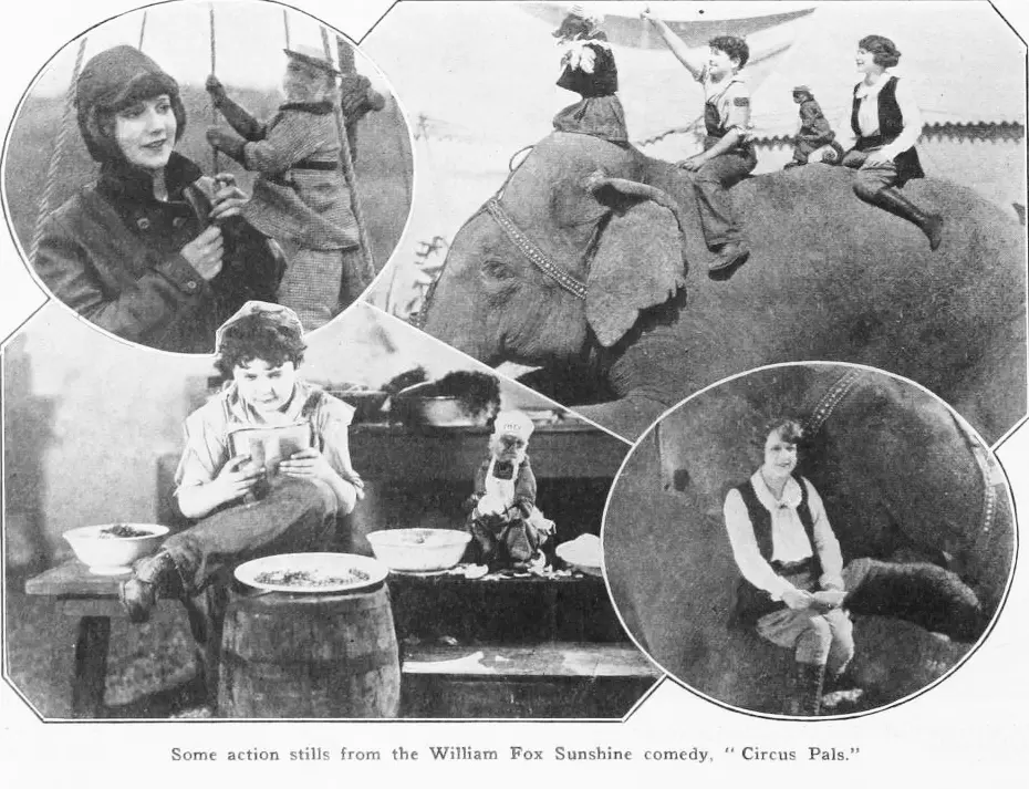 Circus Pals photo