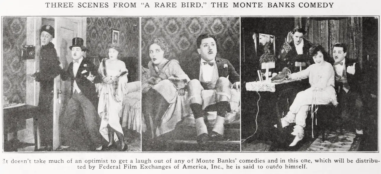 A Rare Bird scene