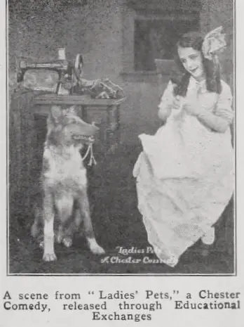 Ladies' Pets photo
